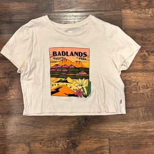 Levi's Crop Tee